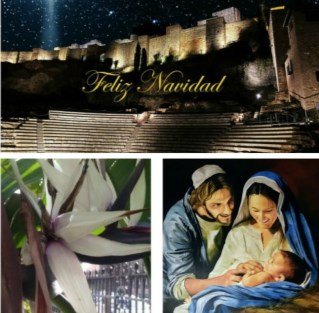 Ilustración de Tres monumentos emblemáticos de Málaga