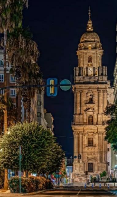 Ilustración de Catedral de Málaga