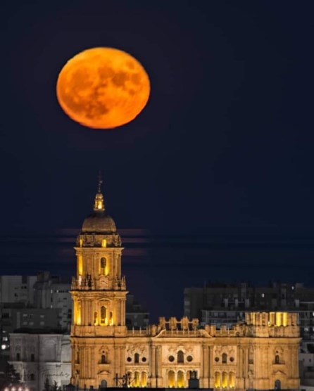 Ilustración de Catedral de Málaga