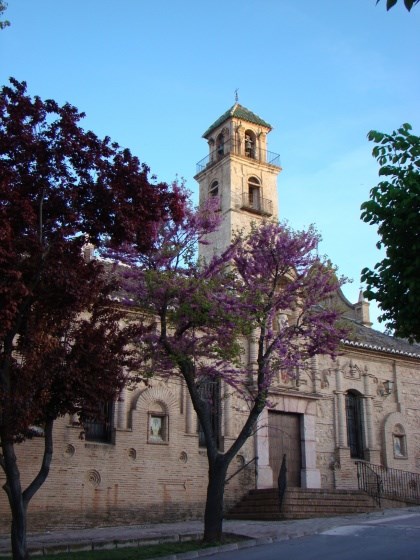 Ilustración de Alameda