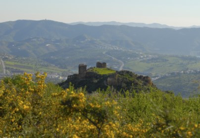 Ilustración de Alcaucín