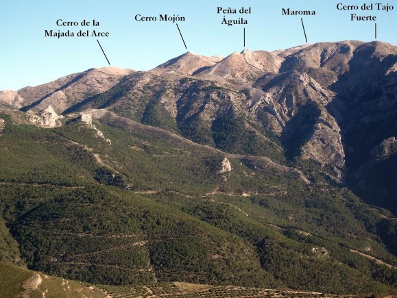 Ilustración de Alcaucín