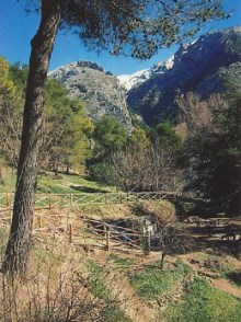 Ilustración de Alcaucín
