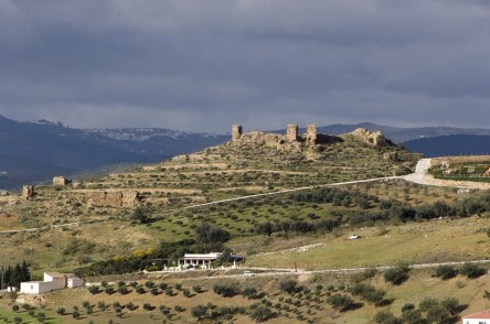 Ilustración de Alcaucín