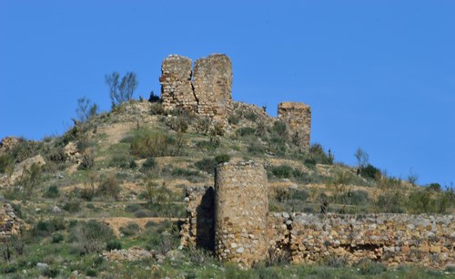 Ilustración de Alcaucín