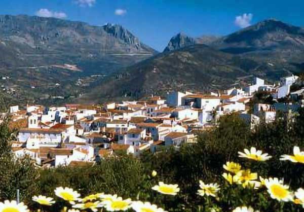 Ilustración de Alcaucín