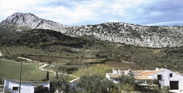 Ilustración de Alfarnate
