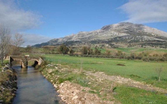 Puente Tejón sobre el arroyo Añoreta