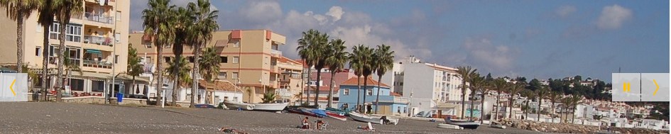 Ilustración de Algarrobo