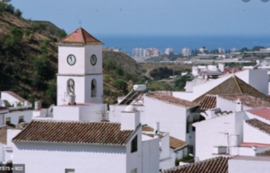 Ilustración de Algarrobo