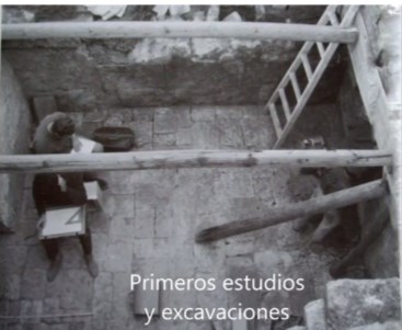 Ilustración de Algarrobo
