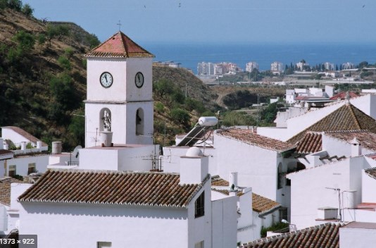 Ilustración de Algarrobo