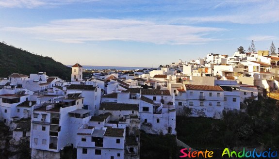 Ilustración de Algarrobo