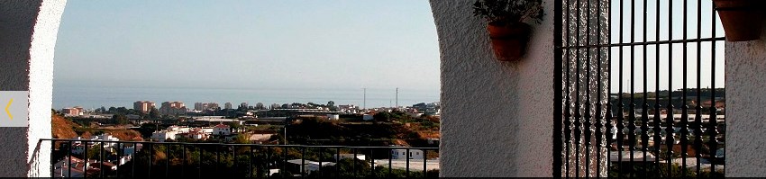Ilustración de Algarrobo