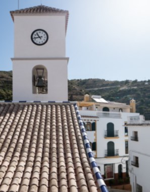 Ilustración de Algarrobo