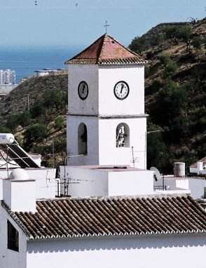 Ilustración de Algarrobo