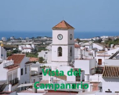 Ilustración de Algarrobo