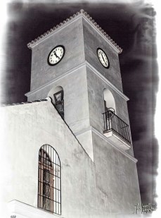 Ilustración de Algarrobo