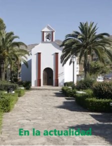 Ilustración de Algarrobo