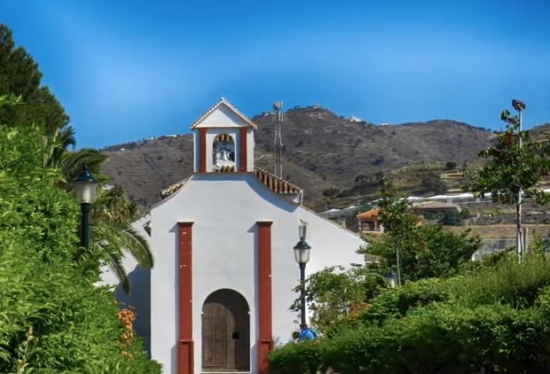 Ilustración de Algarrobo