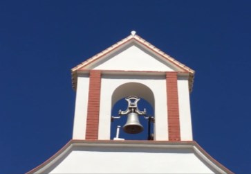 Ilustración de Algarrobo