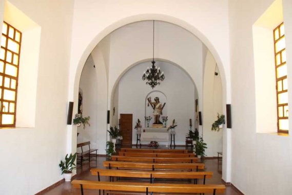 Ilustración de Algarrobo