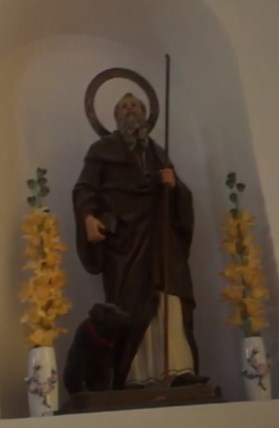 Ilustración de Algarrobo