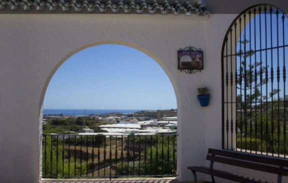 Ilustración de Algarrobo