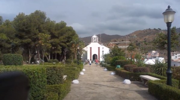Ilustración de Algarrobo