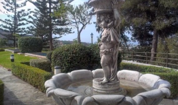 Ilustración de Algarrobo