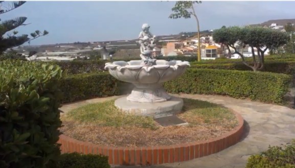 Ilustración de Algarrobo