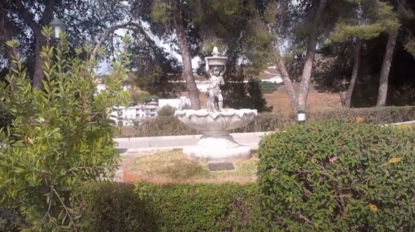 Ilustración de Algarrobo
