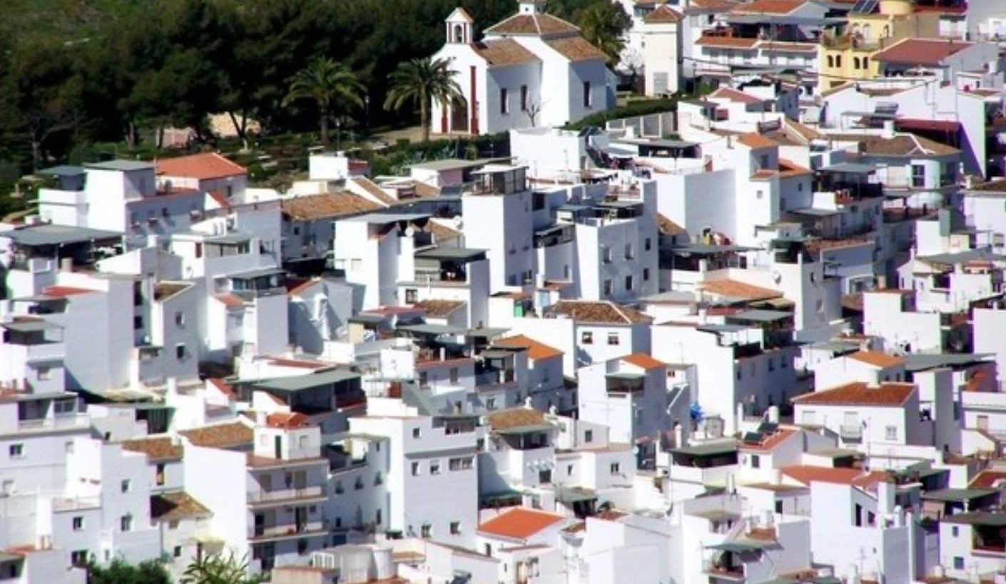 Ilustración de Algarrobo