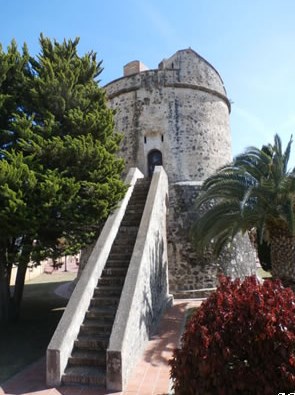Ilustración de Algarrobo