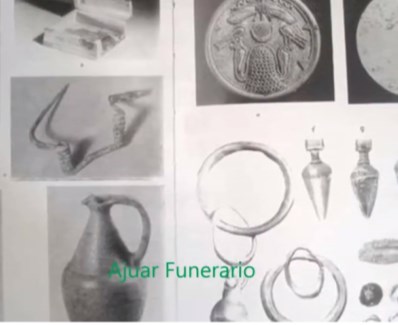 Ilustración de Algarrobo