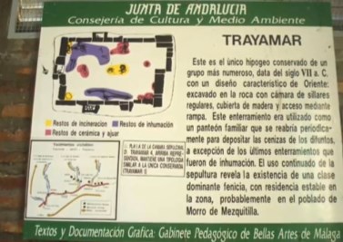 Ilustración de Algarrobo