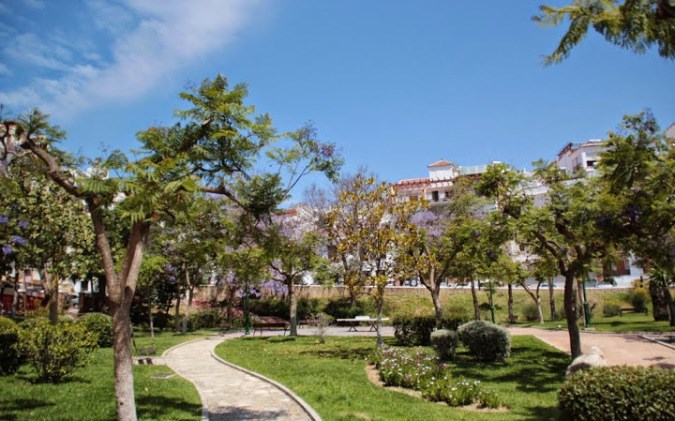 Ilustración de Algarrobo
