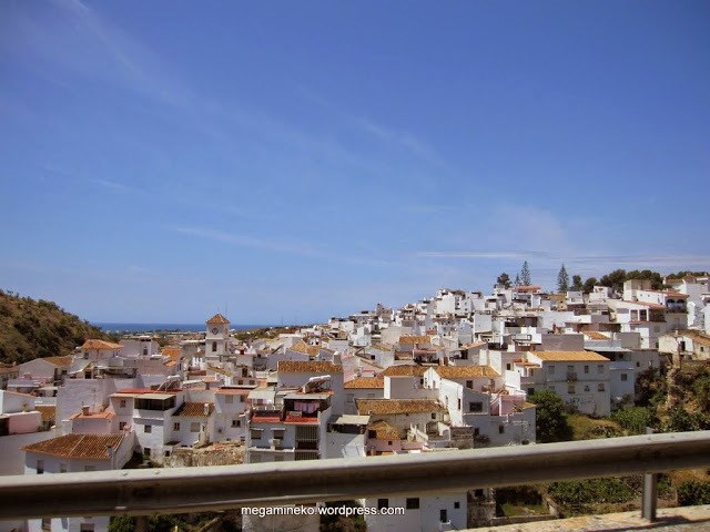 Ilustración de Algarrobo