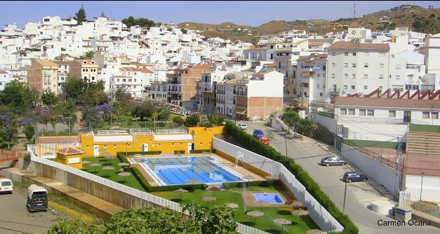 Ilustración de Algarrobo