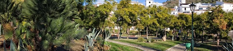 Ilustración de Algarrobo