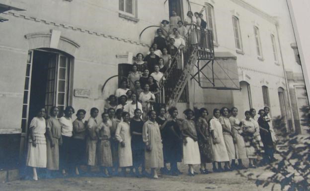 Ilustración de Algarrobo