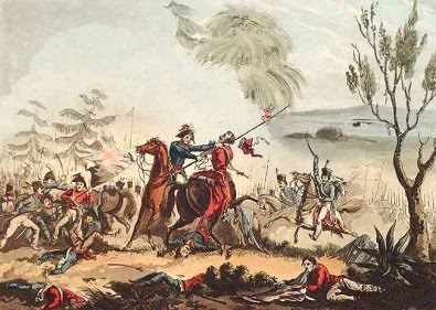 Ilustración de Algarrobo