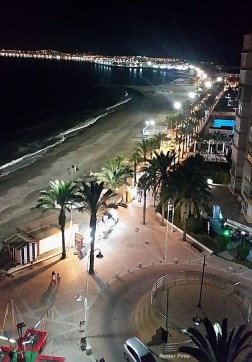 Ilustración de Algarrobo