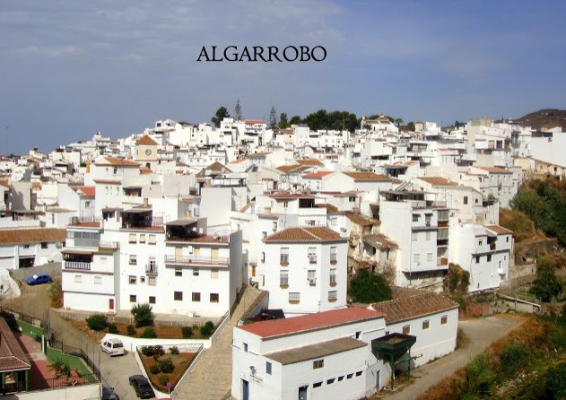 Ilustración de Algarrobo