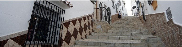 Ilustración de Algarrobo