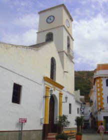Ilustración de Algarrobo
