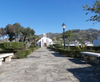 Ilustración de Algarrobo