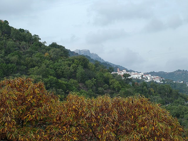 Algatocín