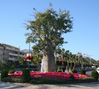 Ilustración de Alhaurín de la Torre