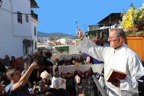 Ilustración de Alhaurín el Grande